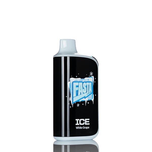 Fasta Burrst V2 37K 37000 Puffs Disposable Vape - 25mL - Image 6